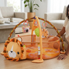 Baby Gym Rack and Gamepad Combo