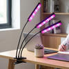 Flexible LED Indoor Grow Light