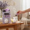 Home Lavender Ceramic Oil Burner and Fragrance Oil Set