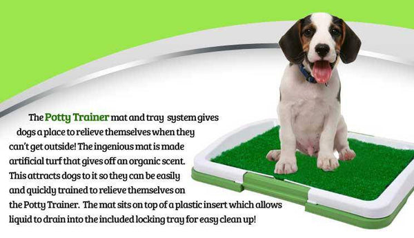 Dog Potty Trainer image 3