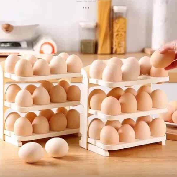 Perfect Dealz 24 Grid Foldable Egg Holder Storage Rack