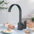 Perfect Dealz Flat Black Kitchen Sink Mixer