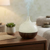 Ultrasonic Aroma Air Humidifier & Essential Oil Diffuser on a wooden table with a succulent plant.