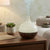 Ultrasonic Aroma Air Humidifier & Essential Oil Diffuser on a wooden table with a succulent plant.