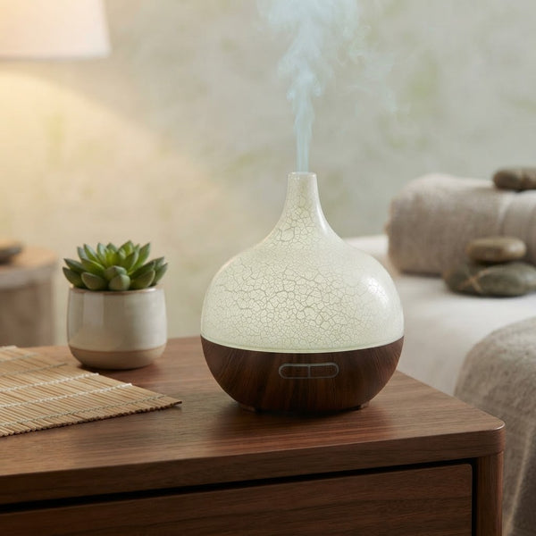 Ultrasonic Aroma Air Humidifier & Essential Oil Diffuser on a wooden table with a succulent plant.