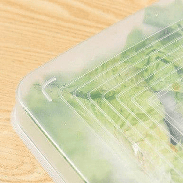 Perfect Dealz Refrigerator Storage Organizer Box