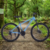 Mountain Bike with Suspension Fork & Triple Chainset on a forest trail, showcasing rugged design and performance.
