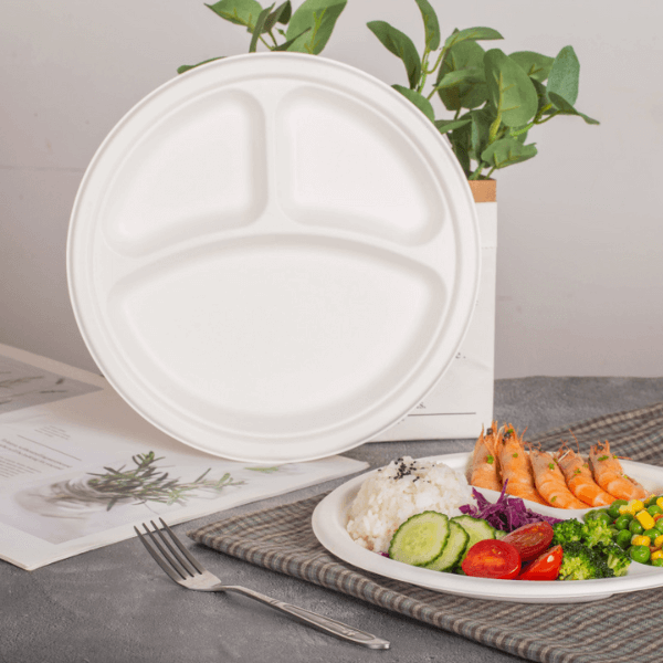 Perfect Dealz 3 Compartment Round Lunch Plate