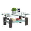 Modern 2 Tier Glass Coffee Table with sleek design, glass top, and practical storage for books and decor.