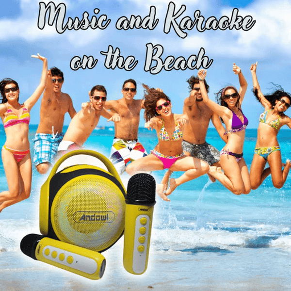 Perfect Dealz Portable Karaoke Speaker Set with Dual Mini Microphones
