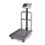 T Industrial Heavy Duty Platform Scale Digital Scale 300kg showcased, highlighting its robust design for bulk weighing.
