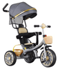3-in-1 Convertible Stroller Trike image 1