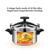 Perfect Dealz 7L Aluminum Pressure Cooker