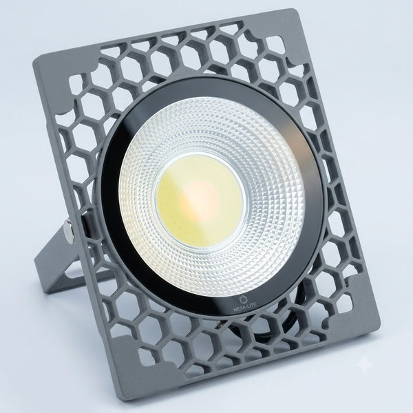 50W LED Flood Light