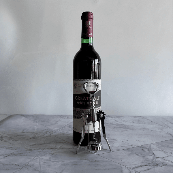 Perfect Dealz Cork Screw Wine Bottle Opener