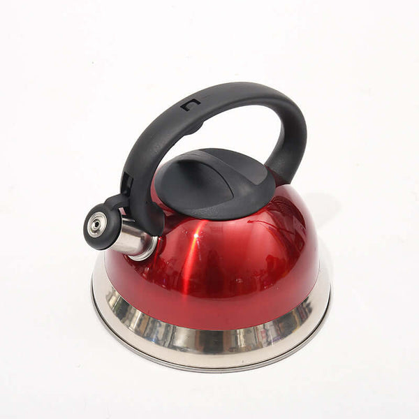 Perfect Dealz 3-Litre Stainless Steel Whistling Tea Kettle