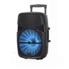 Perfect Dealz 12 Inch Portable DJ Speaker with Mic and Remote