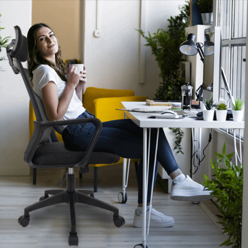 Perfect Dealz Adjustable Height Mesh Ergo Office Chair with Headrest