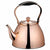 Perfect Dealz 3L Stainless Steel Tea Kettle