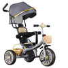 3-in-1 Convertible Stroller Trike image 0