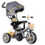 3-in-1 Convertible Stroller Trike image 0