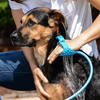 Perfect Dealz Pet Bathing Tool Brush