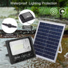100W Solar Panel and Flood Light image 2