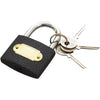Perfect Dealz 50mm Iron Padlock