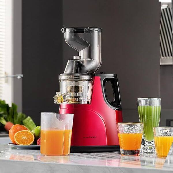 Perfect Dealz 800w Electric Slow Juicer