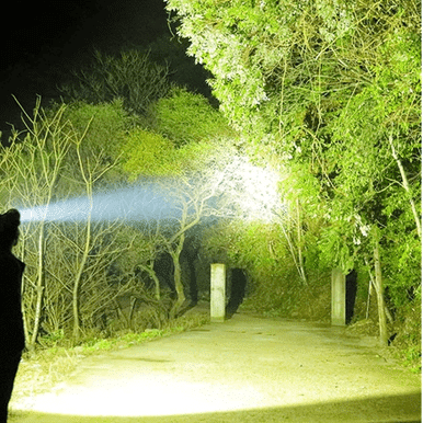 Light beam from USB Rechargeable Waterproof LED Headlamp illuminating a path in a dark forest.