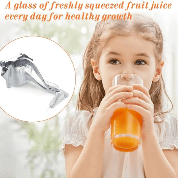 Perfect Dealz Single Manual Press Fruit Juicer