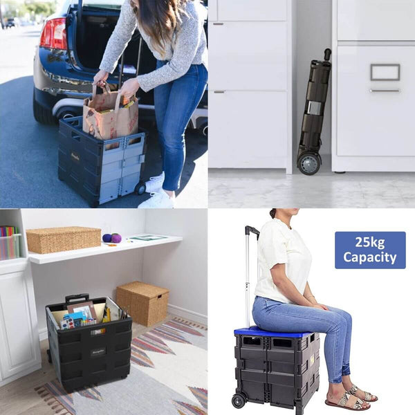 Double-Wheel Shopping Cart For Storage image 1