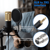 Perfect Dealz Professional Condenser Microphone