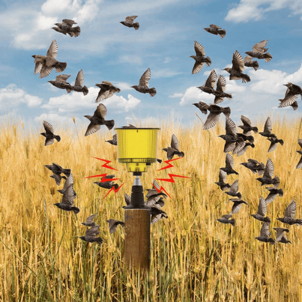 Bird Repeller Flashing Light image 2