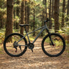 21-Speed Adult Mountain Bike