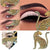 Leopard Eyeliner Makeup Tool Stencil showcased in step-by-step application images for bold eye looks.