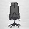 Back view of the Ease Pro Adjustable Office Chair showcasing ergonomic design and adjustability.