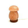 Perfect Dealz Mushroom Crystal Salt Bedside Lamp