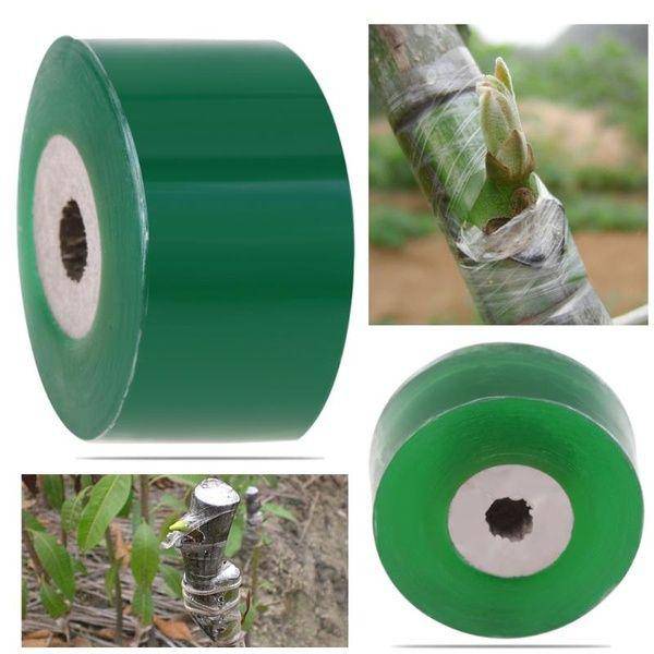 Green 2CM x 100M Grafting Tape for plant care and grafting, showing different angles and uses of the tape.