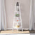 Perfect Dealz 5 Tier Ladder Corner Shelf
