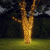 Solar-Powered LED String Lights 10M illuminating a tree at night in a garden setting.