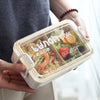 Airtight Compartment Lunch Box with Divider held by a person, showcasing organized compartments for meals.