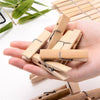 Perfect Dealz Eco-Friendly Wooden Clothes Pegs (240 packs)