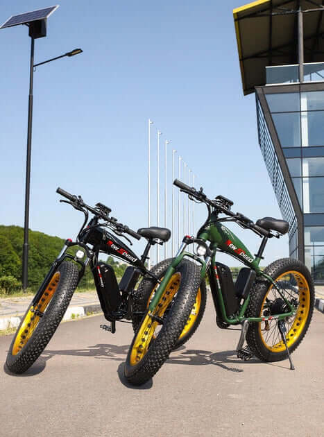 Perfect Dealz Electric Fat-Tire Mountain Ebike