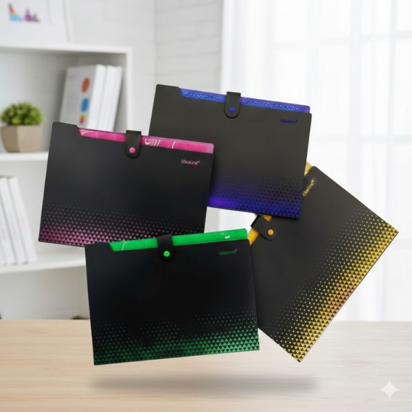 Expandable A4 Document Organizer Folder