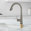 Kitchen Faucet with Pull Out Spray