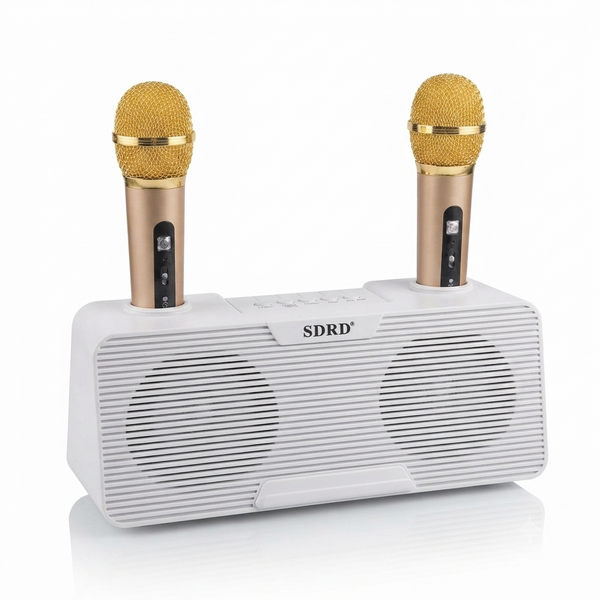 Mini Karaoke Speaker with 2 Microphones