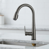 Kitchen Faucet with Pull Out Spray