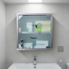Stainless Steel Medicine Cabinet with Lock and Magnetic Door