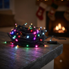 100 LED Decorative Lights
